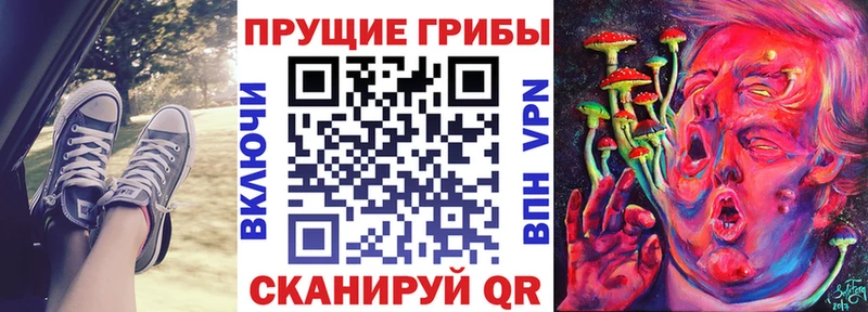 где продают   Курильск  Галлюциногенные грибы ЛСД 
